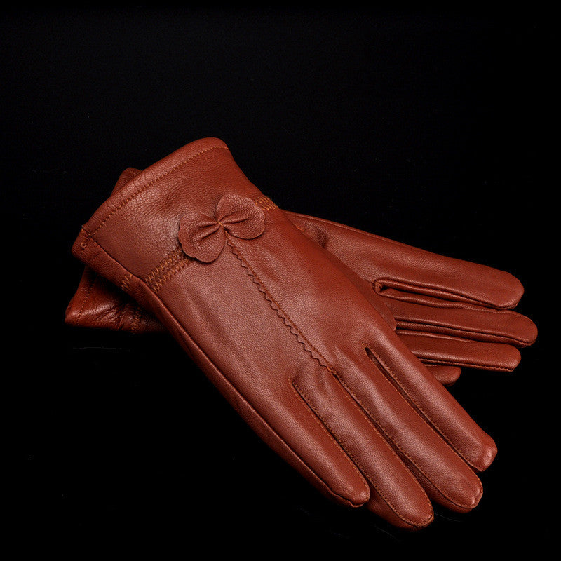 Woman Gloves Image