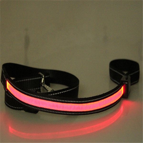 Fluorescent dog collar Image