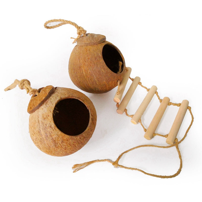 Natural coconut shell bird nest Image