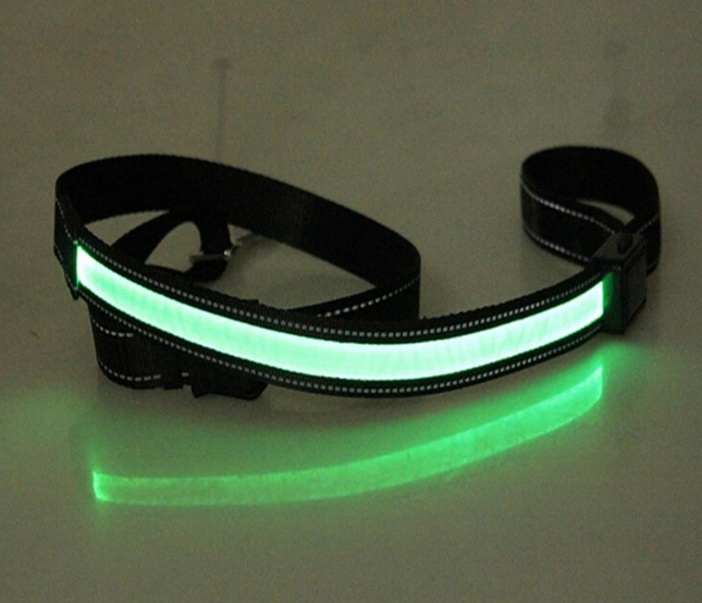 Fluorescent dog collar Image