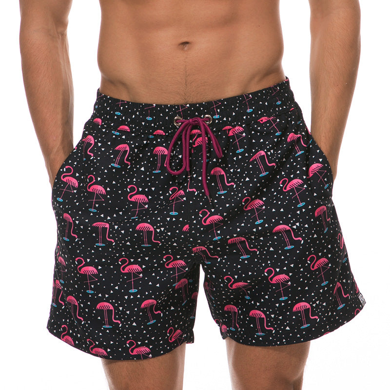 Beach shorts man Image