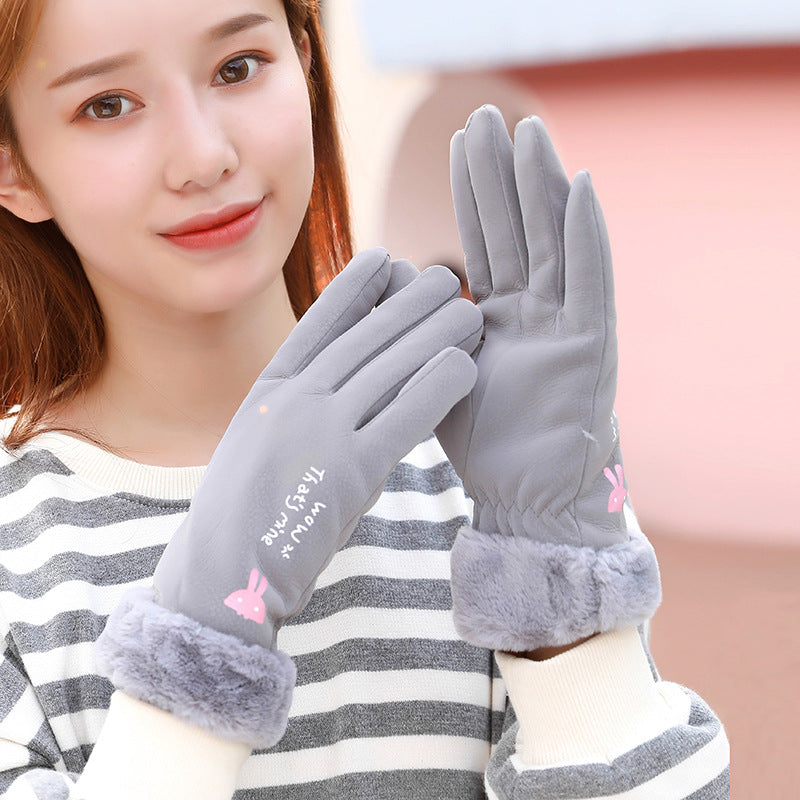 winter gloves Image