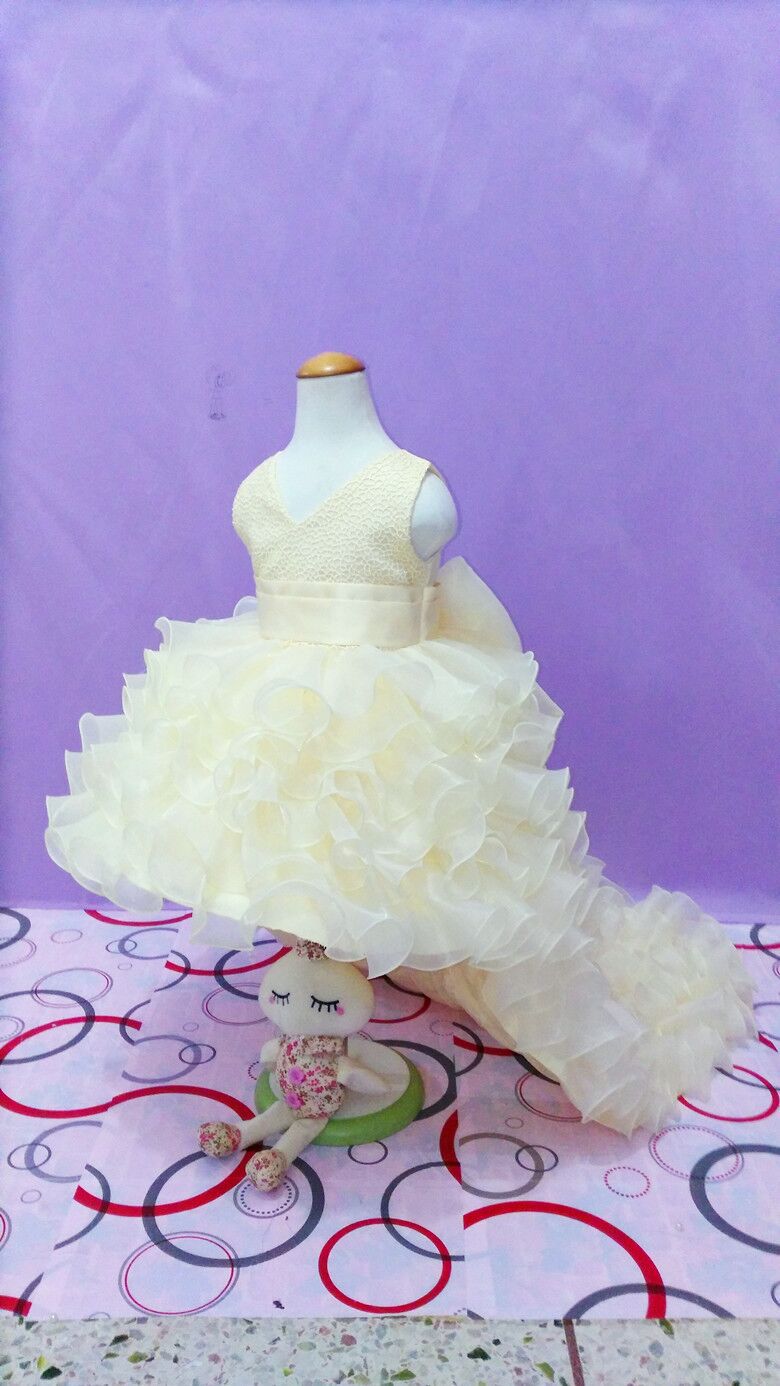 Trailing dress flower girl tuxedo small dress Image