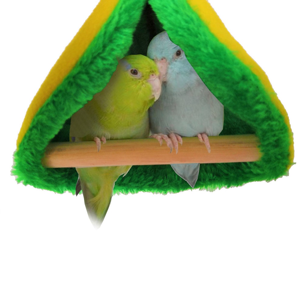 Hammock bird nest Image