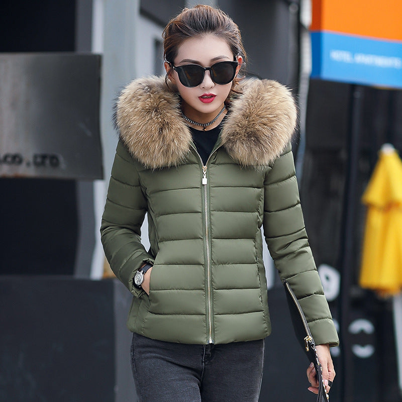 Slim cotton padded jacket and down jacket Image