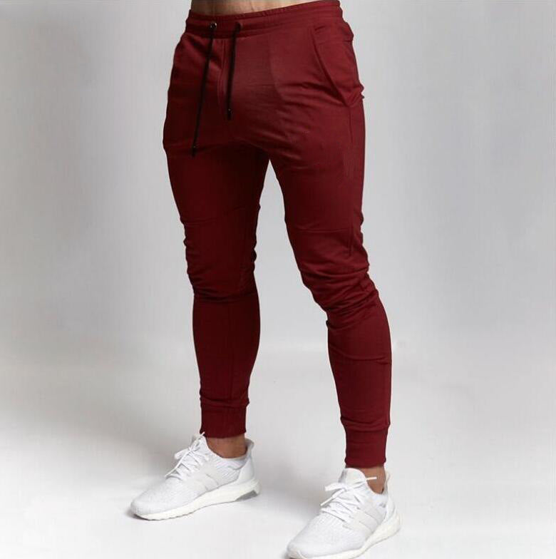 New Casual Gyms Pants Image