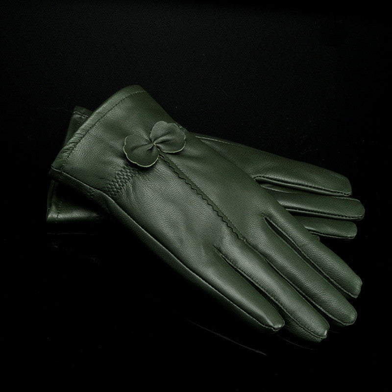 Woman Gloves Image