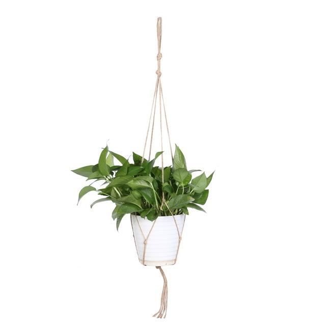 Plant Hanger Pot Holder Image