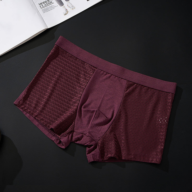 Silky mesh boxer briefs Image