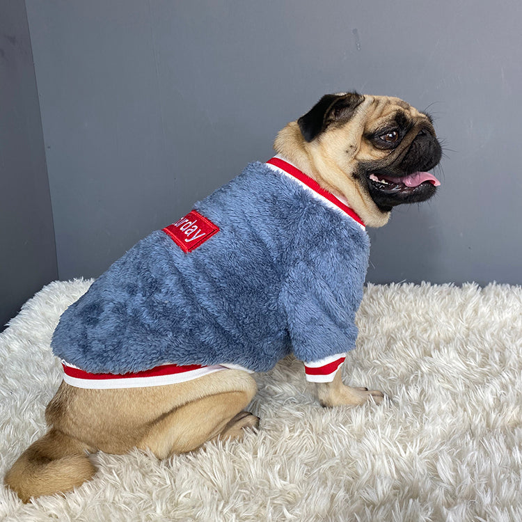 Pet sweater Image