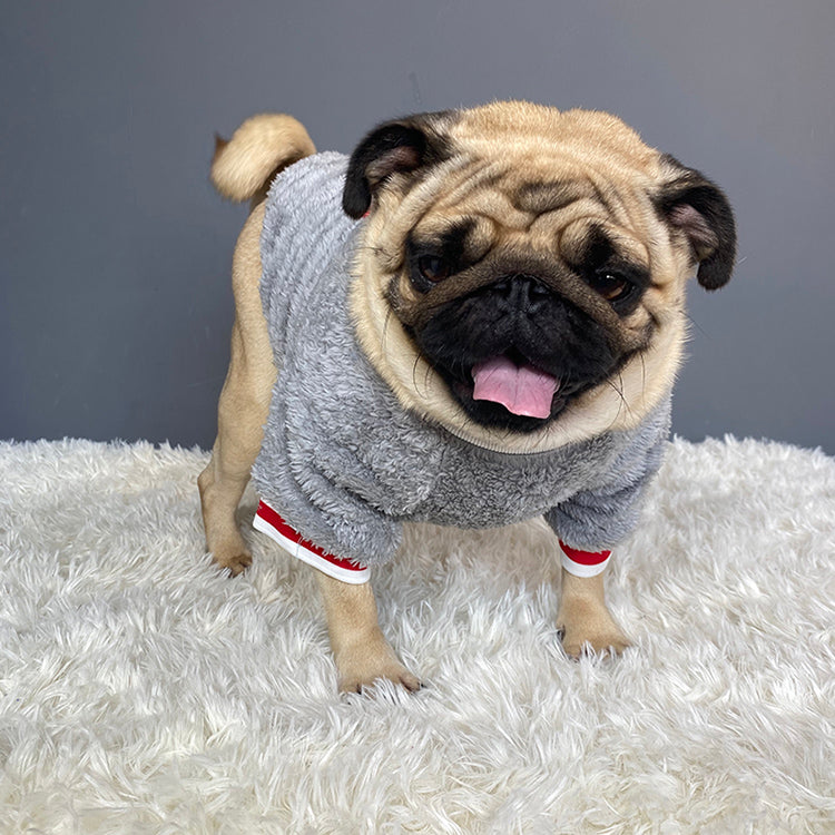 Pet sweater Image