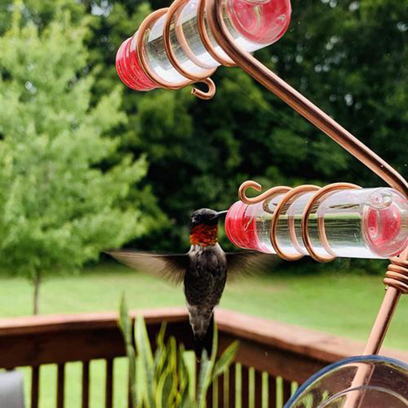 Garden Bird Feeder Supplies Hummingbird Feeder Drinker Suction Cup Easy To Clean Deck Garden Decor Bird Feeders for Wild Birds Image