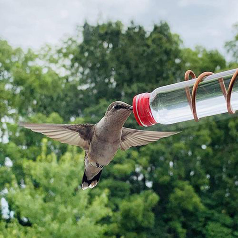 Garden Bird Feeder Supplies Hummingbird Feeder Drinker Suction Cup Easy To Clean Deck Garden Decor Bird Feeders for Wild Birds Image