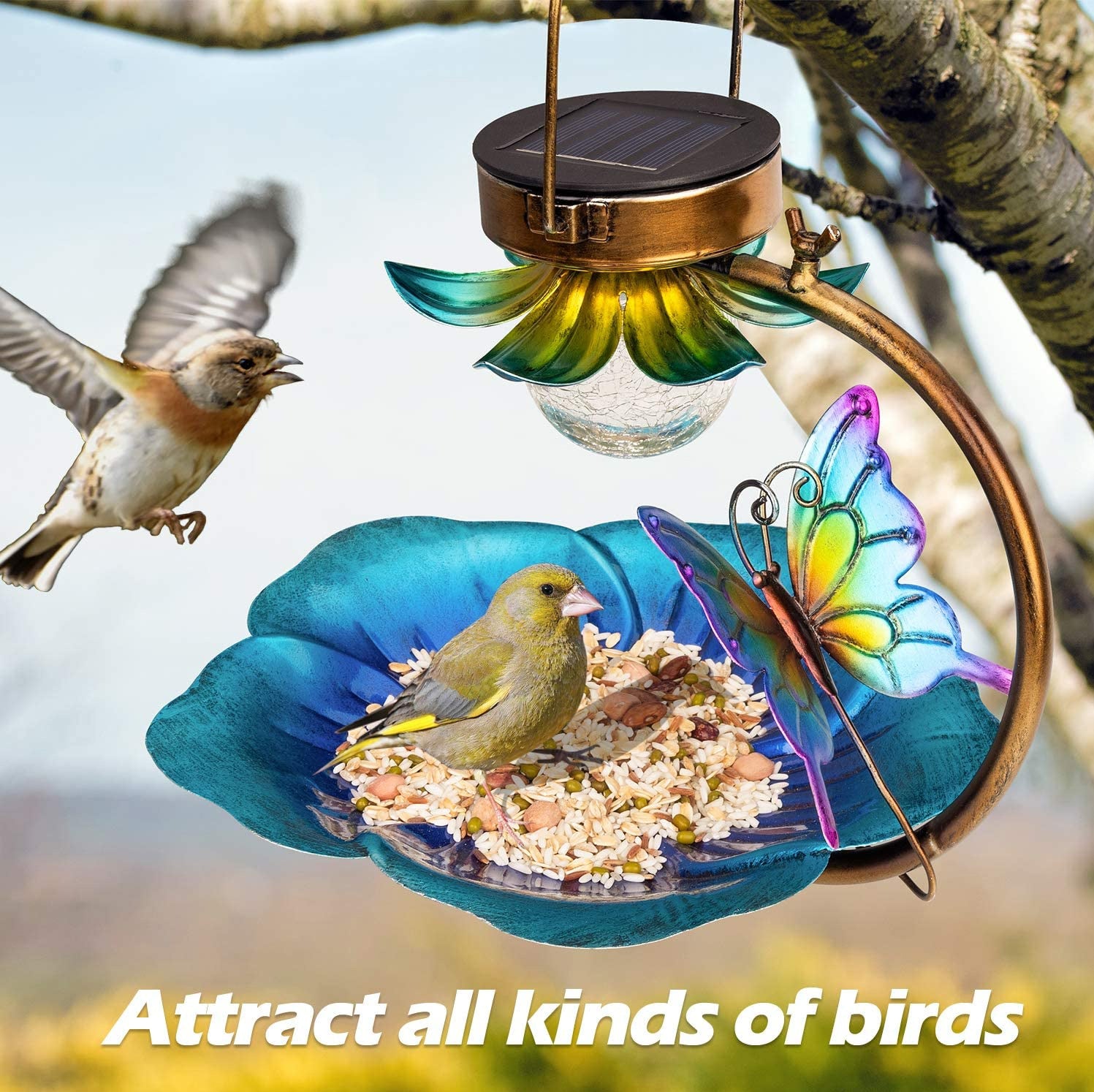 Solar Crack Ball Bird Feeder Image