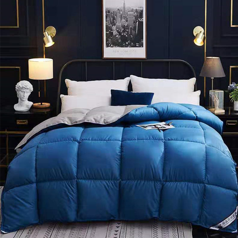 Down Duvet, Winter Duvet, Goose Down Duvet Core, Air Conditioner Image