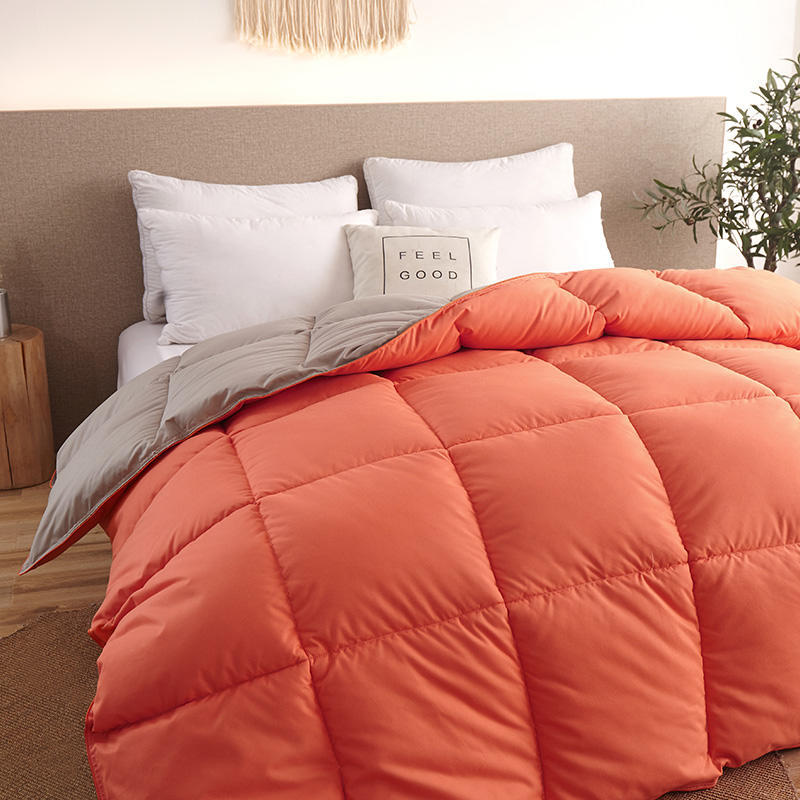 Down Duvet, Winter Duvet, Goose Down Duvet Core, Air Conditioner Image