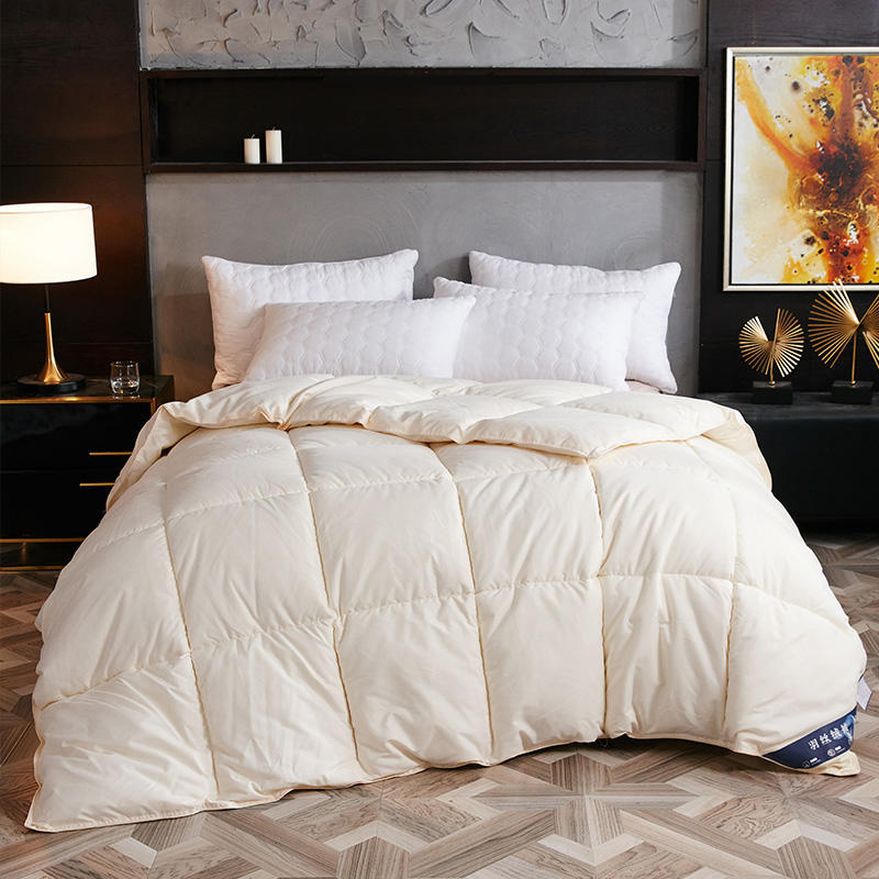 Down Duvet, Winter Duvet, Goose Down Duvet Core, Air Conditioner Image