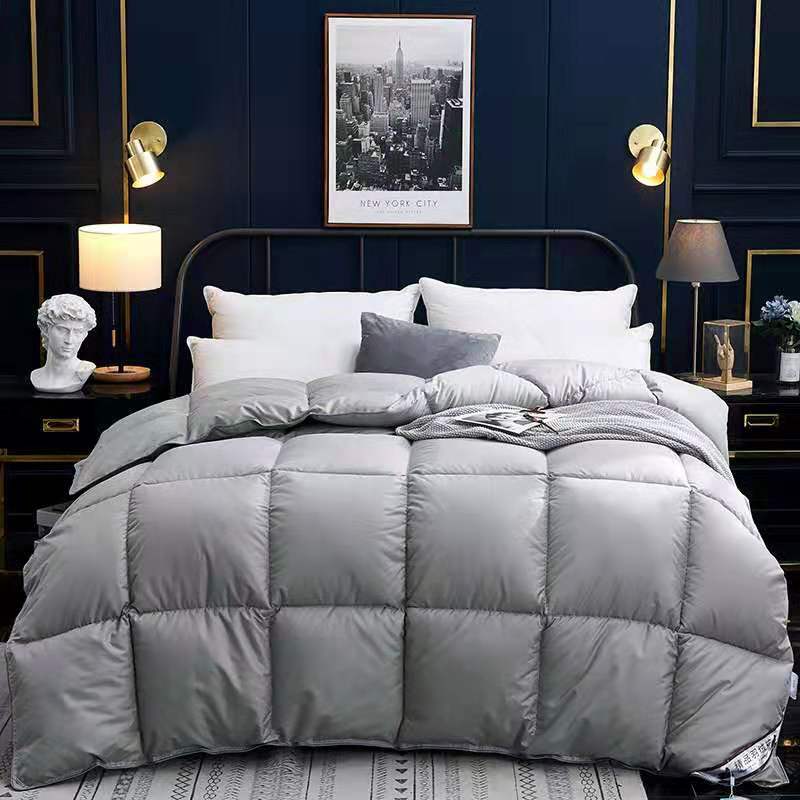 Down Duvet, Winter Duvet, Goose Down Duvet Core, Air Conditioner Image