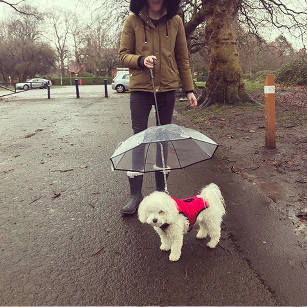 Transparent Pet Umbrella Dog Umbrella Pet Products Image