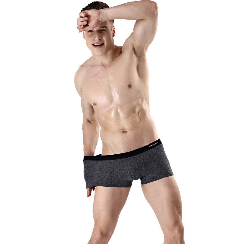 Antarctic Men's Underwear Zhongshan Underwear Image