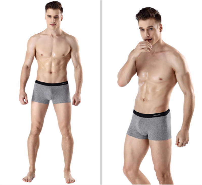 Antarctic Men's Underwear Zhongshan Underwear Image