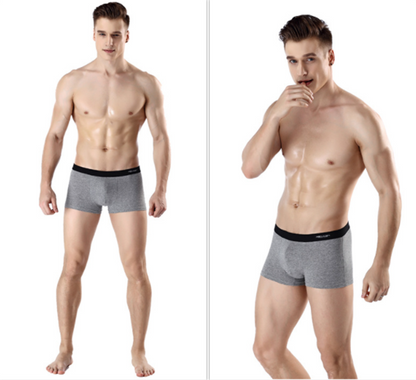 Antarctic Men's Underwear Zhongshan Underwear