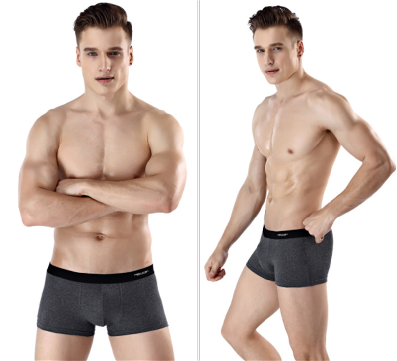 Antarctic Men's Underwear Zhongshan Underwear Image