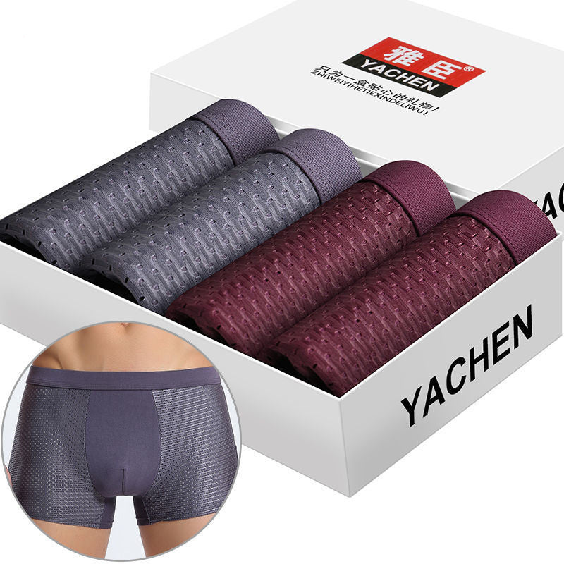 Silky mesh boxer briefs Image