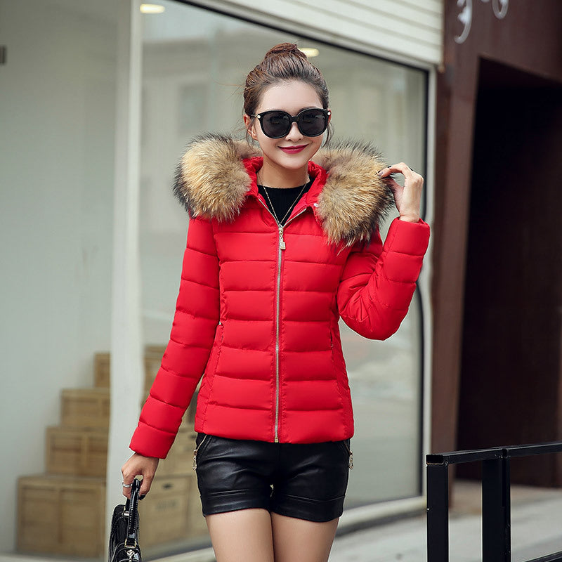 Slim cotton padded jacket and down jacket Image