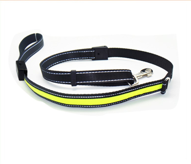 Fluorescent dog collar Image