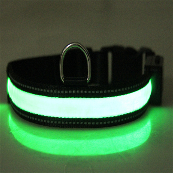 Fluorescent dog collar Image