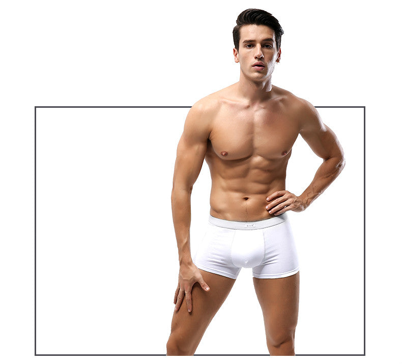 Men's cotton boxer shorts Image