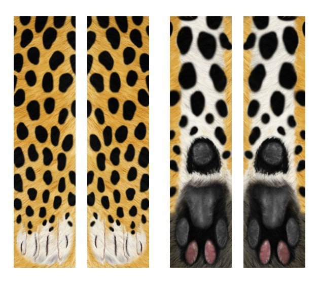 3D Animal Paw Socks Cute Cat Claws Socks Unisex Long Socks Image