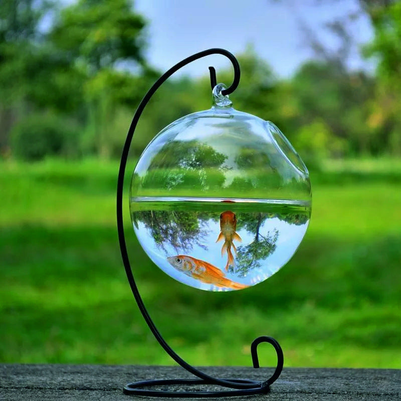 Hanging Glass Vase Fish Tank Image