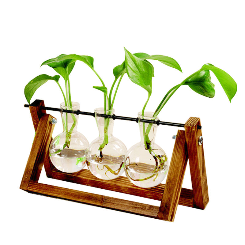 Swing Wooden Stand Hydroponic Plant Container Glass Vase Image