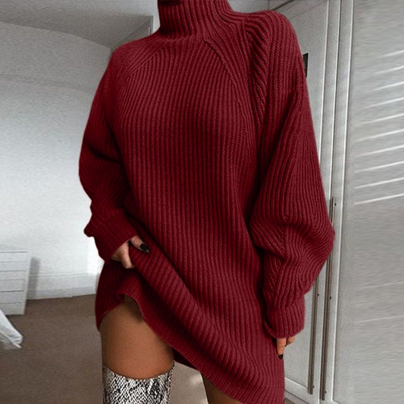 Solid Turtleneck Long Sweater Winter Warm Women Sweater Dress Image