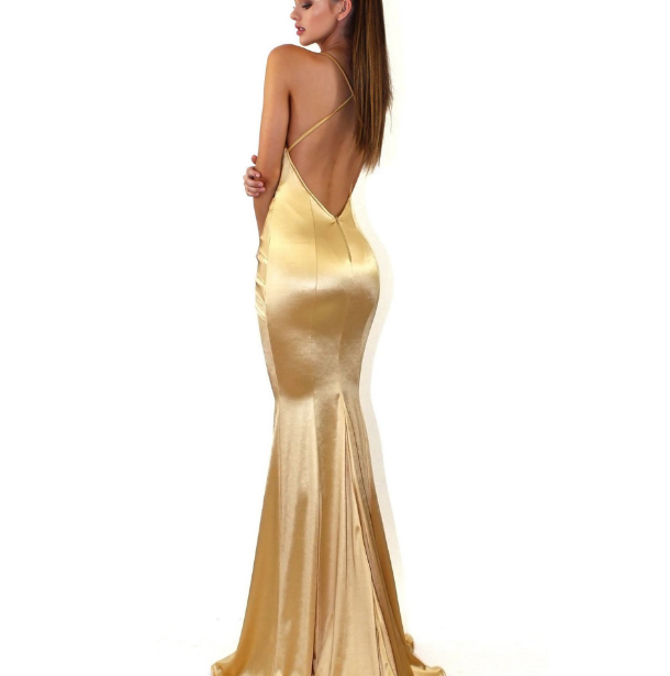 Women backless long dress Evening Gown Dresses Image