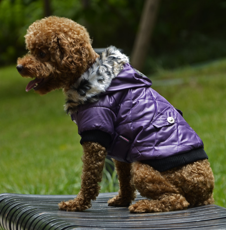 Cross-border pet supplies pet clothes dog clothes autumn and winter fur collar coat pet dog clothing Image