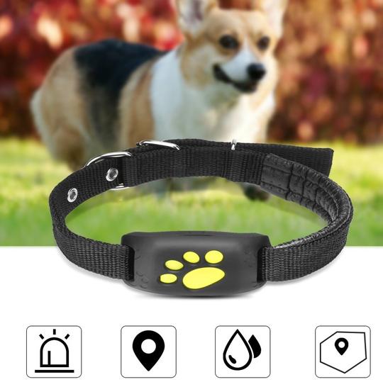 GPS Pet Tracker Image