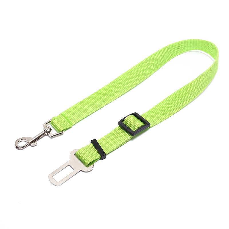 Fixed Strap Polyester Dog Strap Dog Leash Dog Leash Image