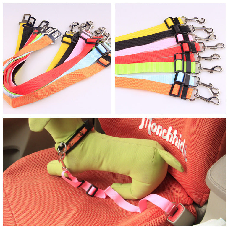 Fixed Strap Polyester Dog Strap Dog Leash Dog Leash Image