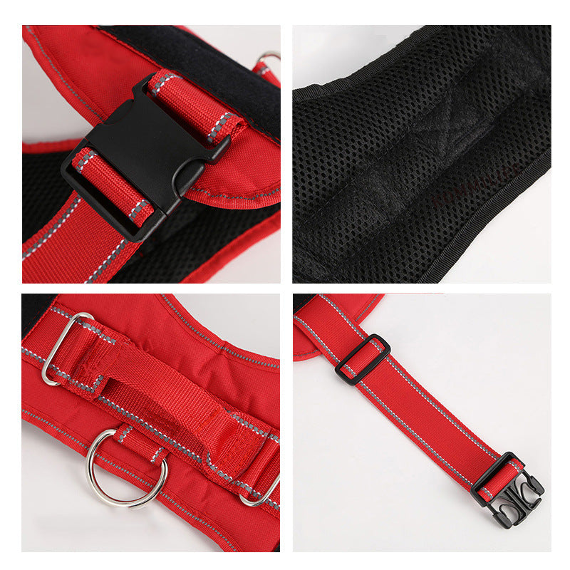 Personalization Of Pet Chest Strap Products Image