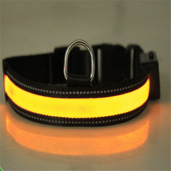 Fluorescent dog collar Image