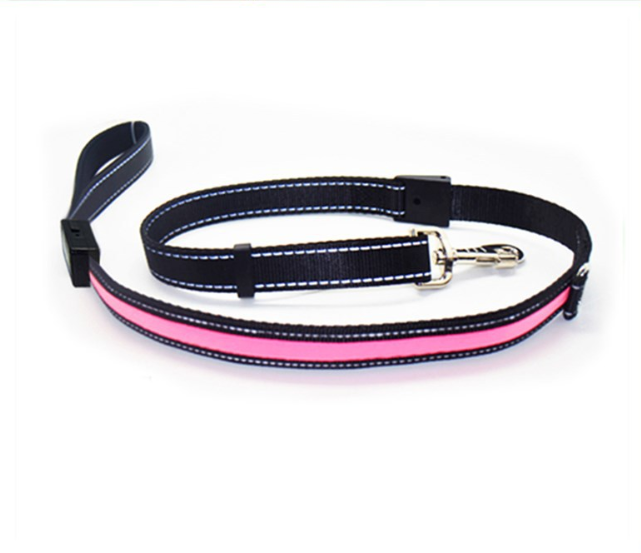 Fluorescent dog collar Image