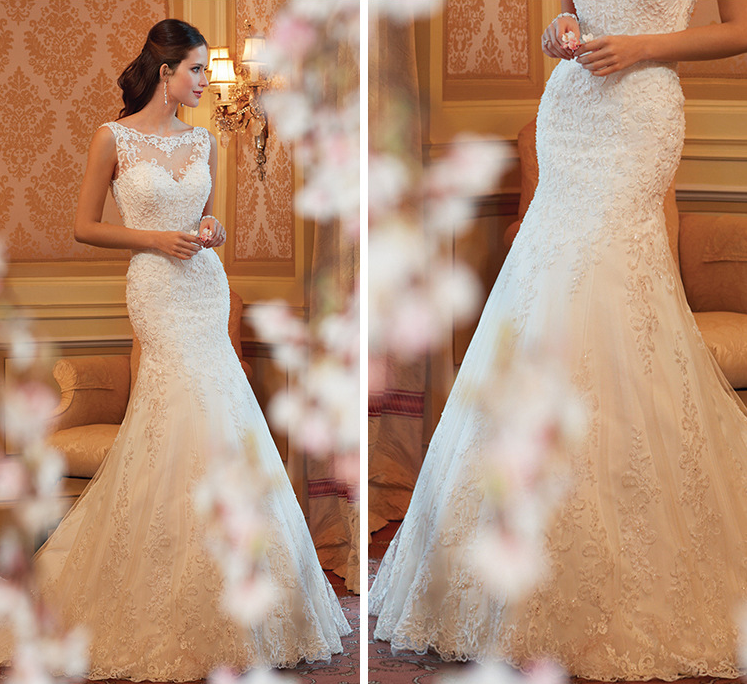 Lace Fish Tail Wedding Dress Image