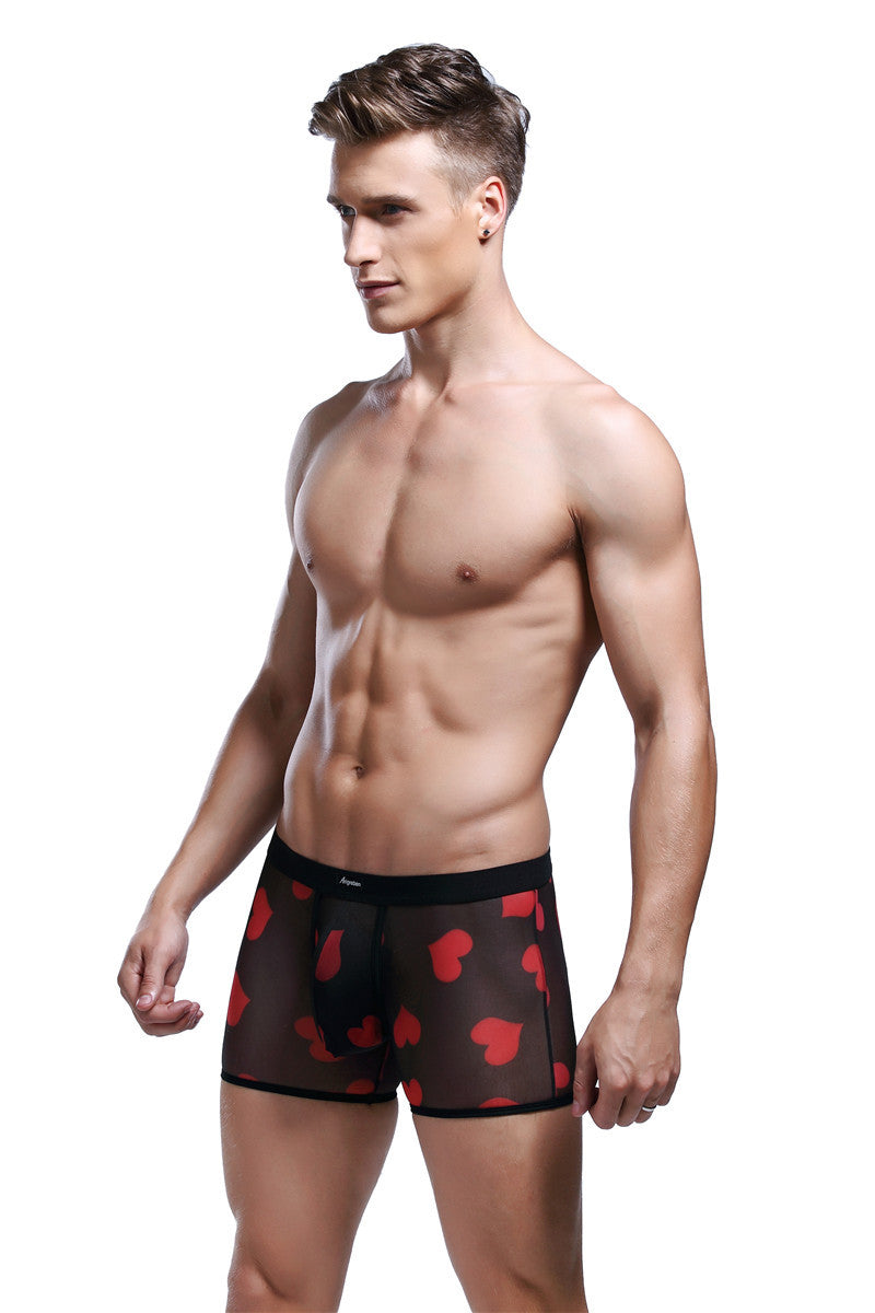 Printed boxer briefs Image