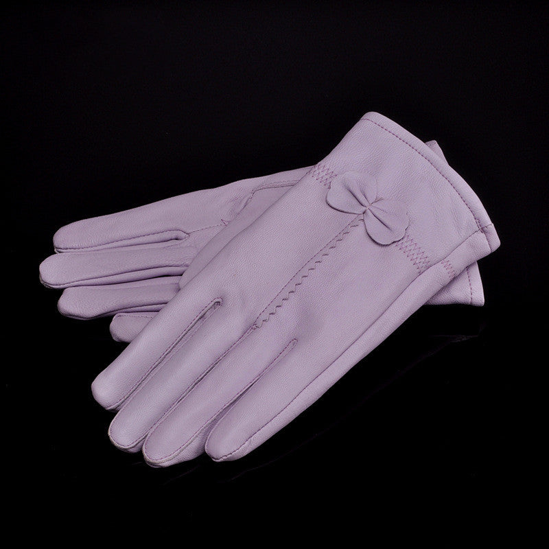 Woman Gloves Image