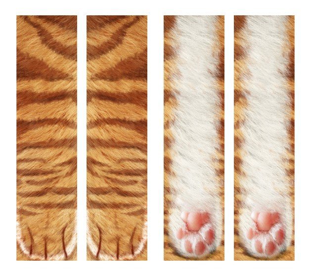 3D Animal Paw Socks Cute Cat Claws Socks Unisex Long Socks Image