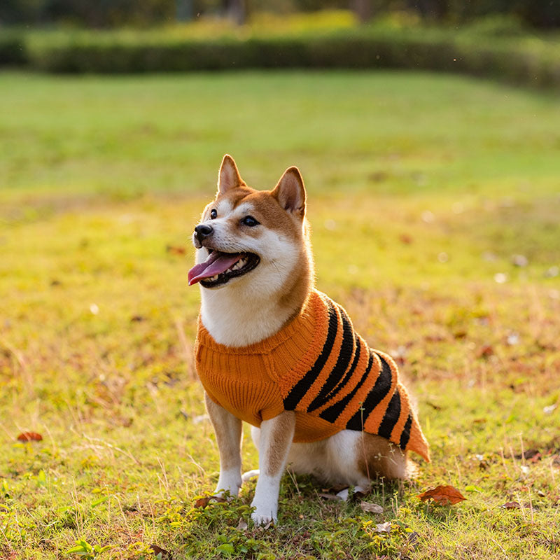 Halloween Dog Sweaters Pet Costume Teddy Warm Leisure Sweater Cosplay Clothes For Dogs Pets Outfits Image