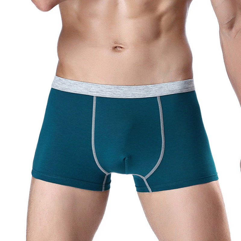 Men's underwear men's boxer briefs Image